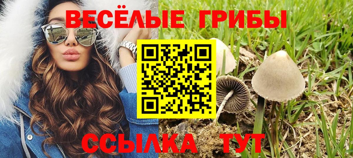 Мурманск  Галлюциногенные грибы Psilocybe  Вход с VPN 
